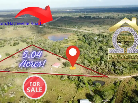 Newly built house on 5.04 acres for sale, Burrell Boom, Belize