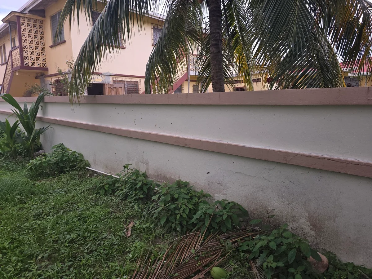 46-goldson-ave-king-park